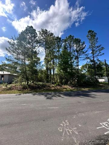 3125 W Fairbank Dr, Citrus Springs, FL 34433