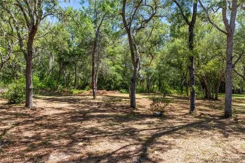 Exterior - 1761 E Cleveland St, Hernando, FL 34442 photo 10 of 10