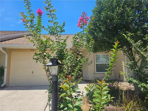 Exterior - 650 W Diamondbird Loop, Hernando, FL 34442 photo 2 of 6