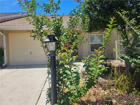 Exterior - 650 W Diamondbird Loop, Hernando, FL 34442 photo 6 of 6