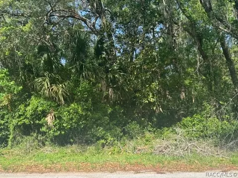 874 N Savary Ave, Inverness, FL 34453