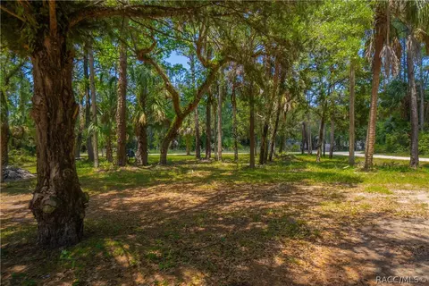 6550 SE Debra Ave, Inglis, FL 34449 photo 33