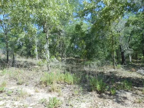 5225 E Prentice Ln, Inverness, FL 34452