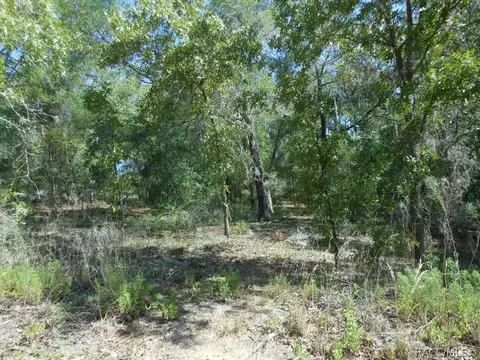 5225 E Prentice Ln, Inverness, FL 34452 photo 3