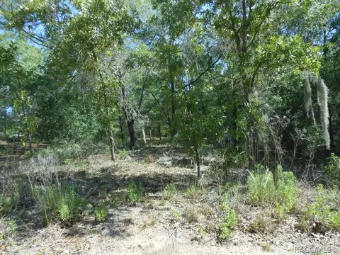 5225 E Prentice Ln, Inverness, FL 34452 photo 2