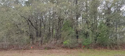 7662 N Maltese Dr, Citrus Springs, FL 34433