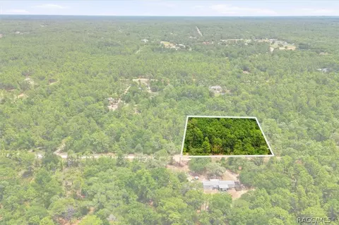5267 N Lace Pt, Dunnellon, FL 34433
