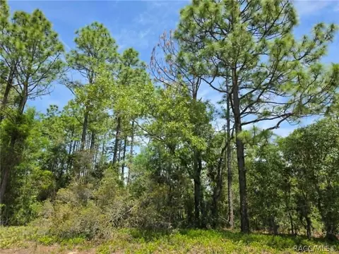 3099 W Wilhelm St, Dunnellon, FL 34433