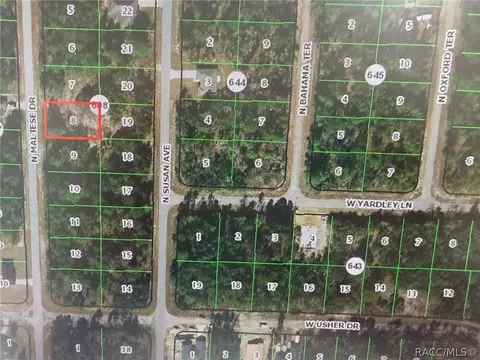 7967 N Maltese Dr, Citrus Springs, FL 34433