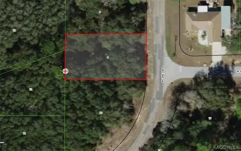 6990 N Lime Dr, Citrus Springs, FL 34433