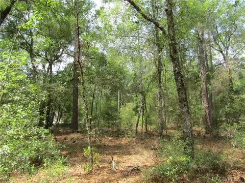 9673 N Loretta Way, Citrus Springs, FL 34434