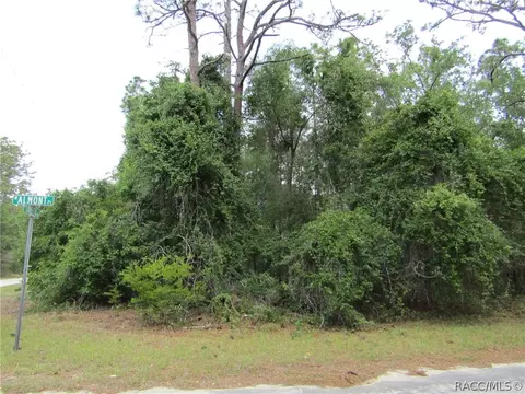 9673 N Loretta Way, Citrus Springs, FL 34434