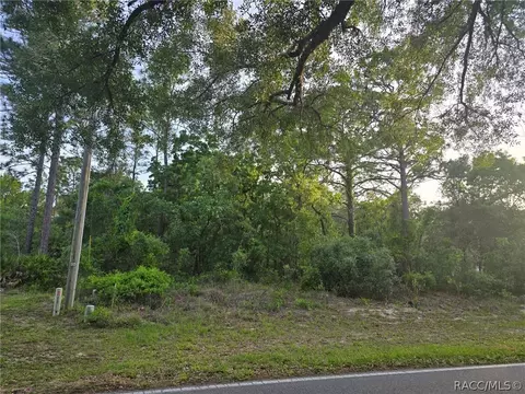 116 Oak Village Blvd S, Homosassa, FL 34446