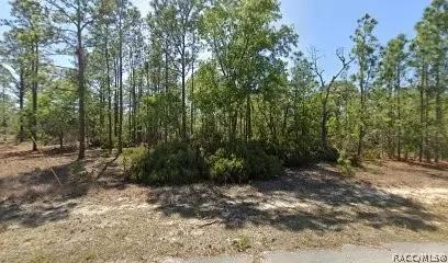 10584 N Inez Ter, Dunnellon, FL 34433