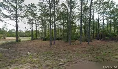 10599 N Caldera Ave, Dunnellon, FL 34433