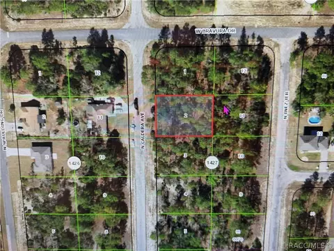 10585 N Caldera Ave, Dunnellon, FL 34433