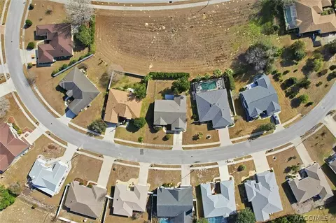 View/Area - 1131 S Softwind Loop, Lecanto, FL 34461 photo 3 of 5