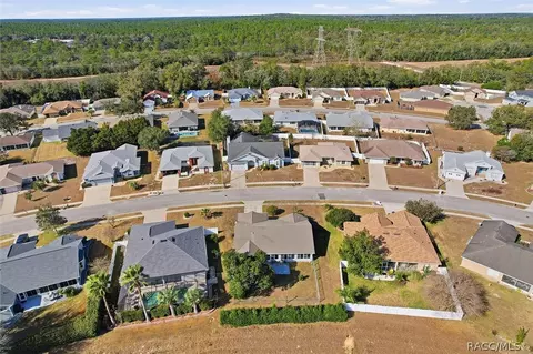 View/Area - 1131 S Softwind Loop, Lecanto, FL 34461 photo 1 of 5