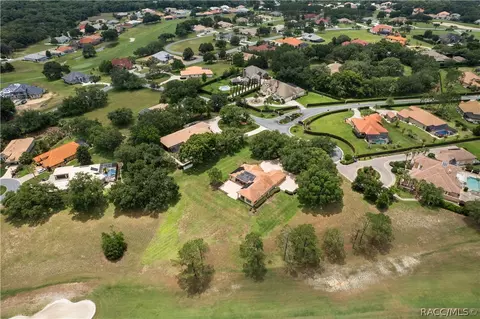 View/Area - 1969 N Yawkey Pt, Hernando, FL 34442 photo 7 of 7