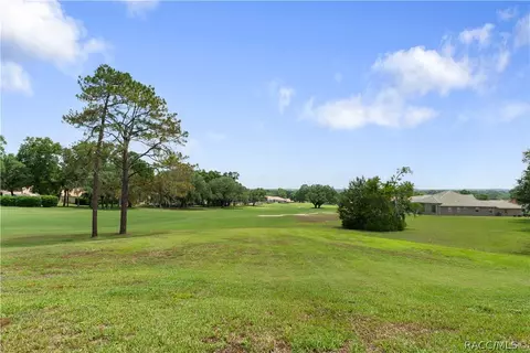 Other - 1969 N Yawkey Pt, Hernando, FL 34442 photo 10 of 10