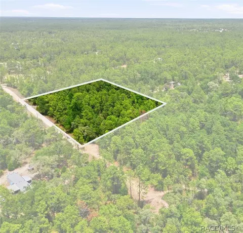 5339 N Lace Pt, Dunnellon, FL 34433