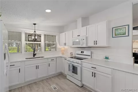 4190 E Lake Park Dr, Hernando, FL 34442 photo 3
