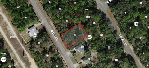 8591 N Vince Dr, Citrus Springs, FL 34434