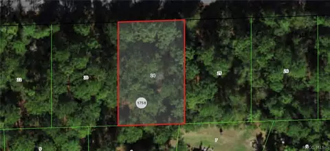 864 W Bannister Dr, Citrus Springs, FL 34434