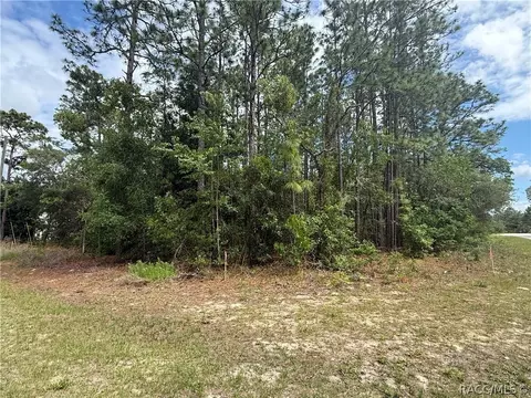 7103 N Hemmingway Dr, Dunnellon, FL 34434
