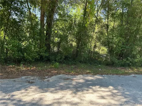 1875 N Scenic Way, Crystal River, FL 34429