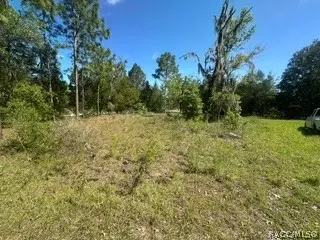 3216 Amphibian Pt, Crystal River, FL 34428