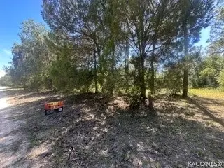 3216 Amphibian Pt, Crystal River, FL 34428