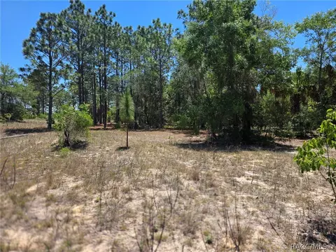 11837 N Captiva Ter, Dunnellon, FL 34433