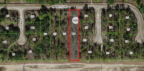 1142 W Riley Dr, Dunnellon, FL 34434