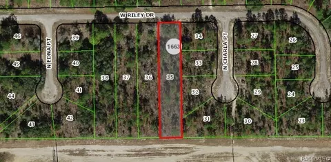 1142 W Riley Dr, Dunnellon, FL 34434