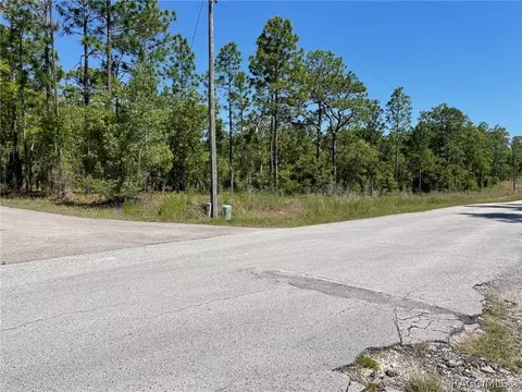 lot1 NW Mandrake Dr, Dunnellon, FL 34431