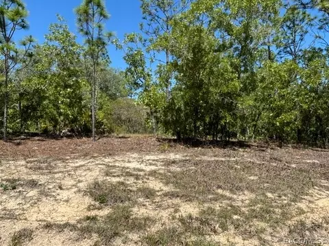 2888 W Lambert Dr, Dunnellon, FL 34433