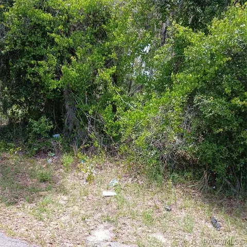 215 217 Country Walk, Inverness, FL 34453