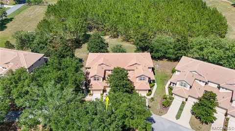 View/Area - 1598 W Spring Meadow Loop, Lecanto, FL 34461 photo 2 of 19