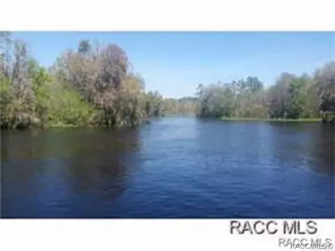 View/Area - 1598 W Spring Meadow Loop, Lecanto, FL 34461 photo 15 of 19