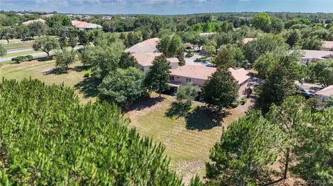 View/Area - 1598 W Spring Meadow Loop, Lecanto, FL 34461 photo 7 of 19