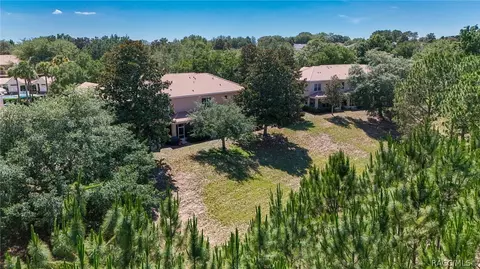 View/Area - 1598 W Spring Meadow Loop, Lecanto, FL 34461 photo 6 of 19