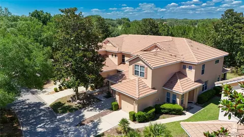View/Area - 1598 W Spring Meadow Loop, Lecanto, FL 34461 photo 3 of 19