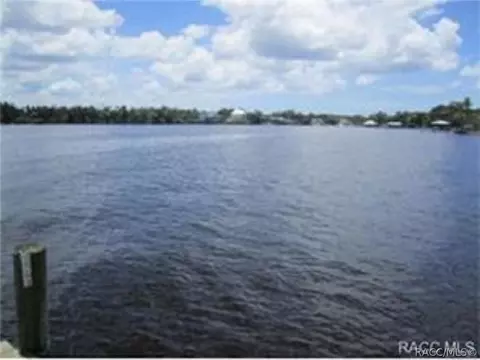 View/Area - 1598 W Spring Meadow Loop, Lecanto, FL 34461 photo 16 of 19