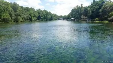 View/Area - 1598 W Spring Meadow Loop, Lecanto, FL 34461 photo 14 of 19