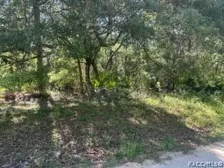 3234 Amphibian Pt, Crystal River, FL 34428