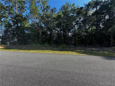 5241 E Hopp Ln, Inverness, FL 34452