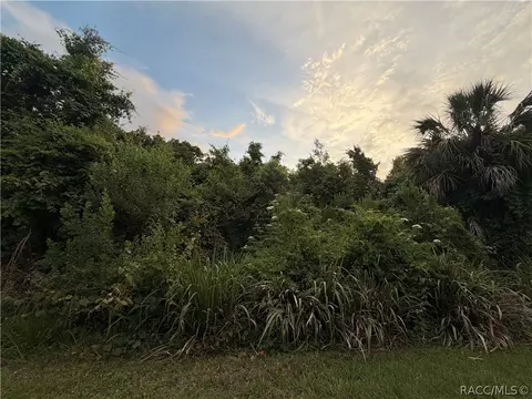 1062 N Fan Palm Pt, Crystal River, FL 34429