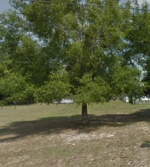 8445 S Linden Pt, Floral City, FL 34436