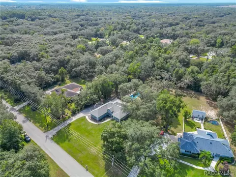 View/Area - 390 W Olympia St, Hernando, FL 34442 photo 7 of 13